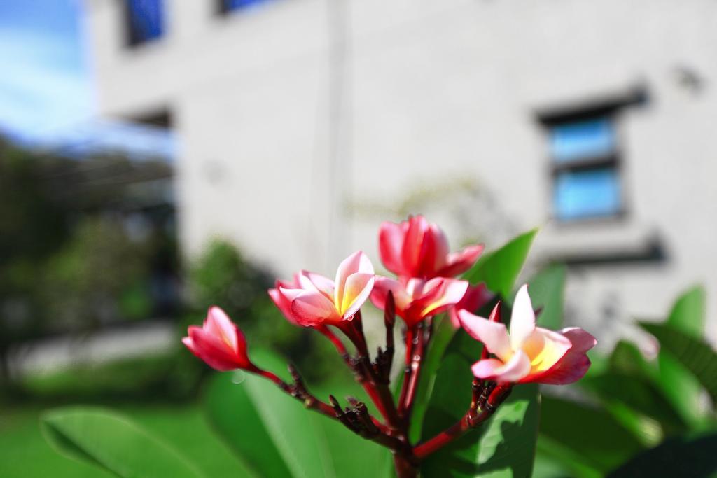 Yiho B&B Yongjing Buitenkant foto