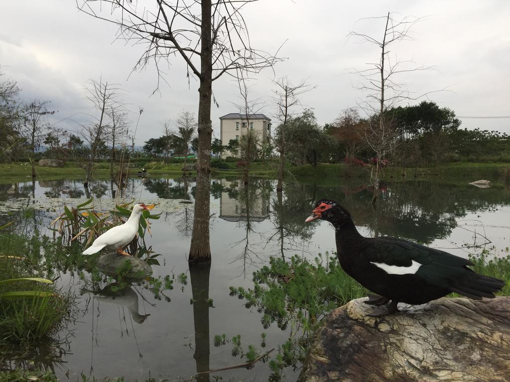 Yiho B&B Yongjing Buitenkant foto
